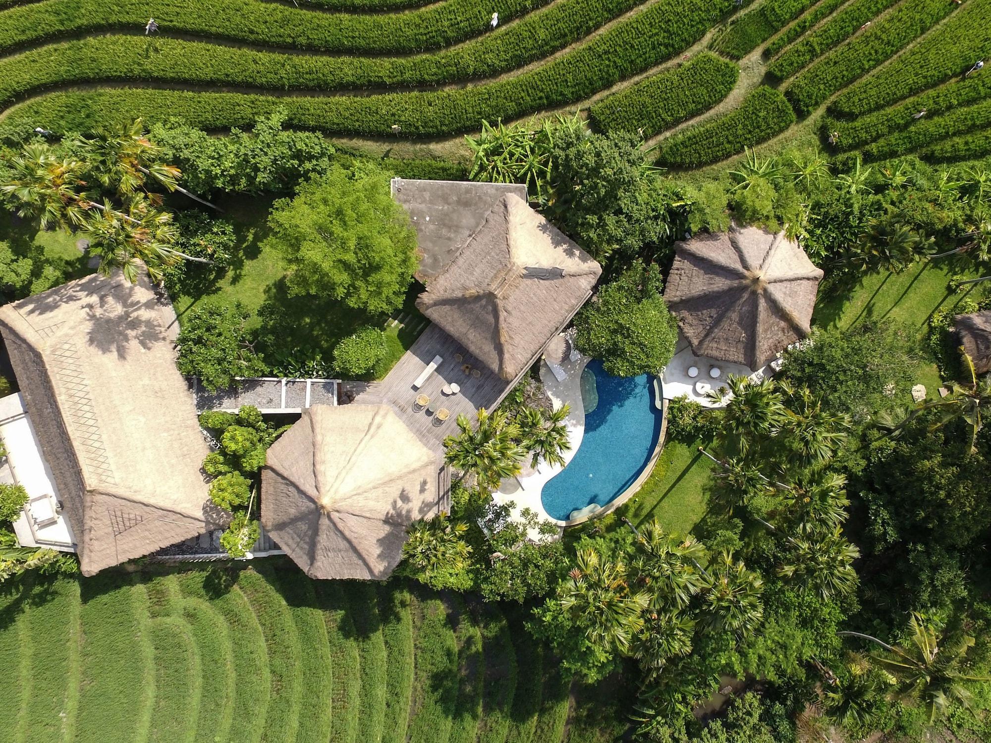 แพลนตา ลักชัวรี บูทิก รีสอร์ต Hotel ชังกู ภายนอก รูปภาพ